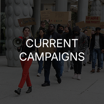 Explore our active campaigns, learn what's happening right now, and find out how you can get involved and make an impact.